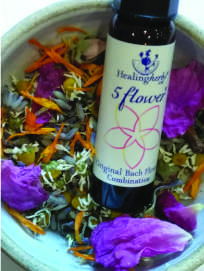 Ointments from Diana Lee - Medical Herbalist - Ceridwen Herbs